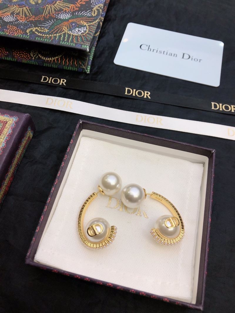 Christian Dior Earrings